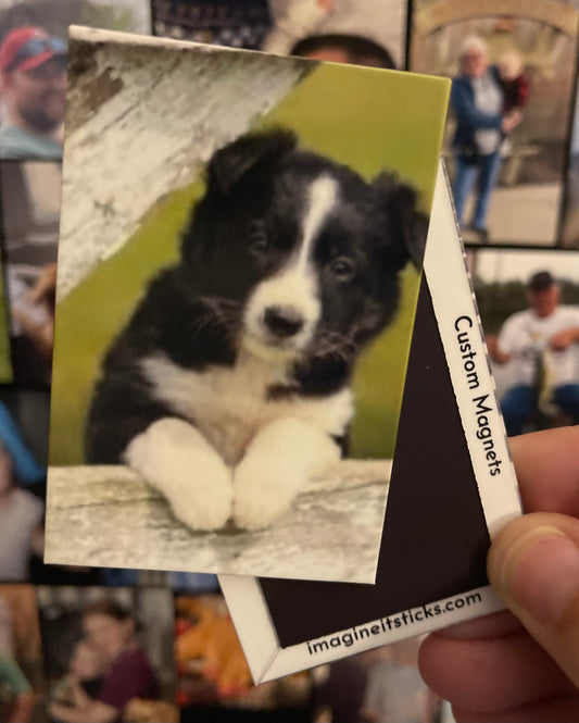 2”x3” Custom Photo Magnets - Set of 6