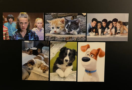 2”x3” Custom Photo Magnets - Set of 6