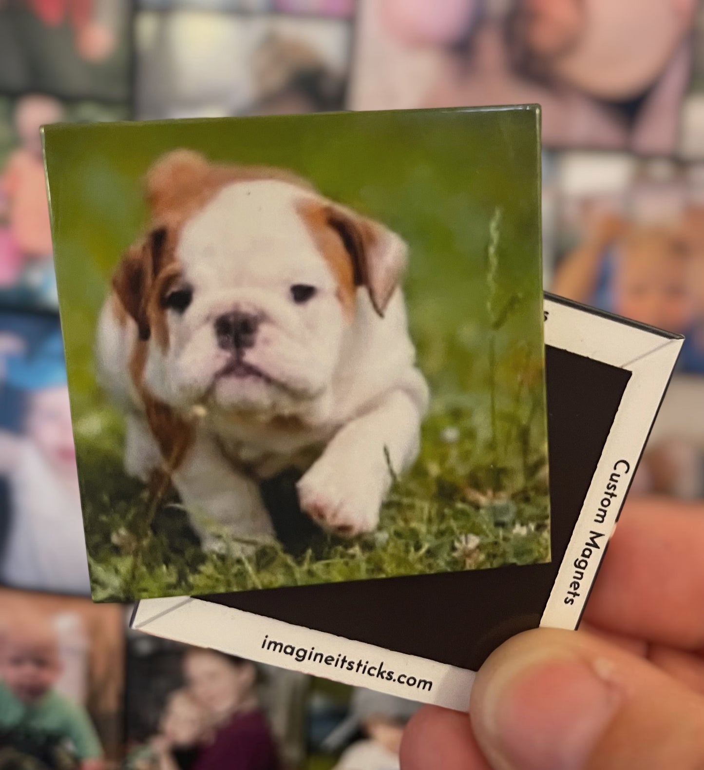 2”x2” Custom Photo Magnets - Set of 6