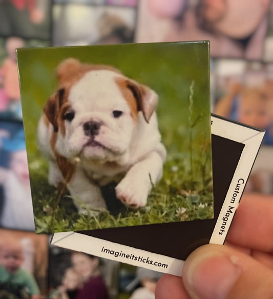 2”x2” Custom Photo Magnets - Set of 6